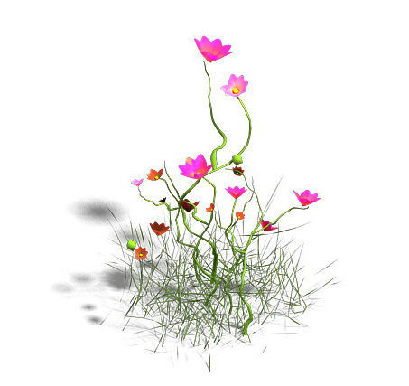 Plant - Gesang Hua 3D model_3