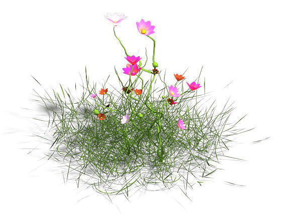 Plant - Gesang Hua 3D model_2