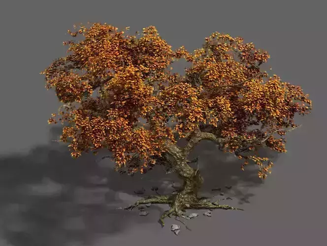 Plant - mangrove 1 3D model