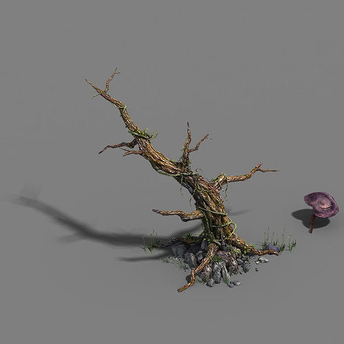 Plant - dead tree 3D model