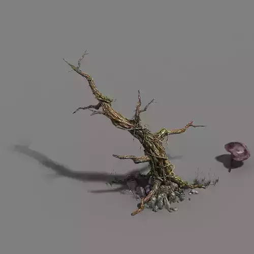 Plant - dead tree 3D model