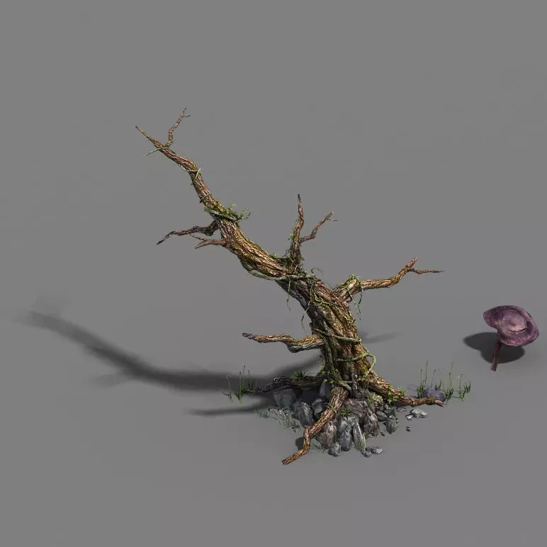 Plant - dead tree 3D model