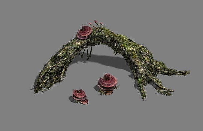 Plant - dead tree 2 3D model