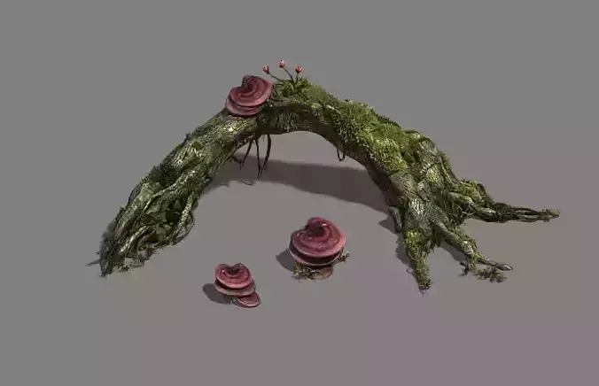 Plant - dead tree 2 3D model