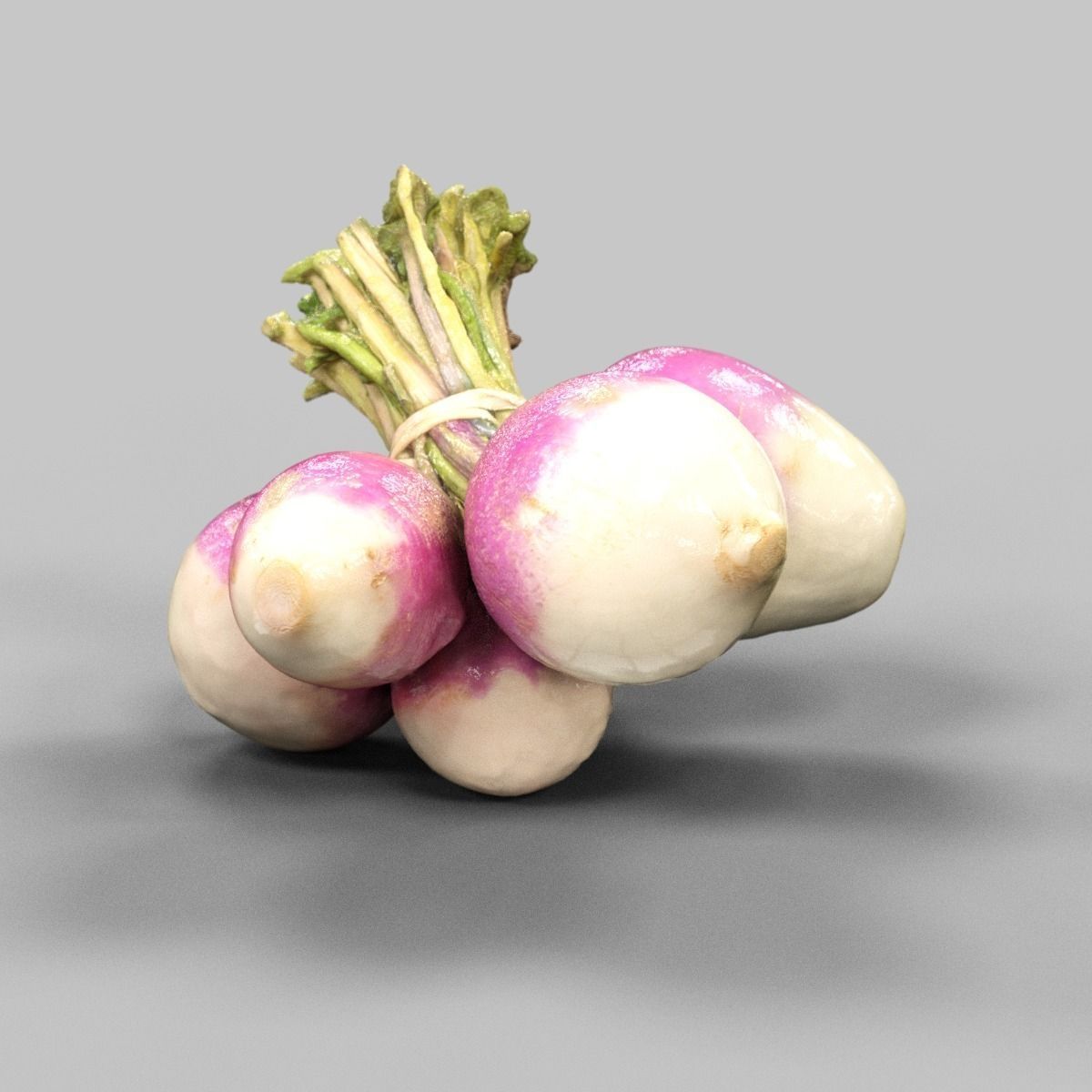 Turnip radishes Low-poly 3D model_0