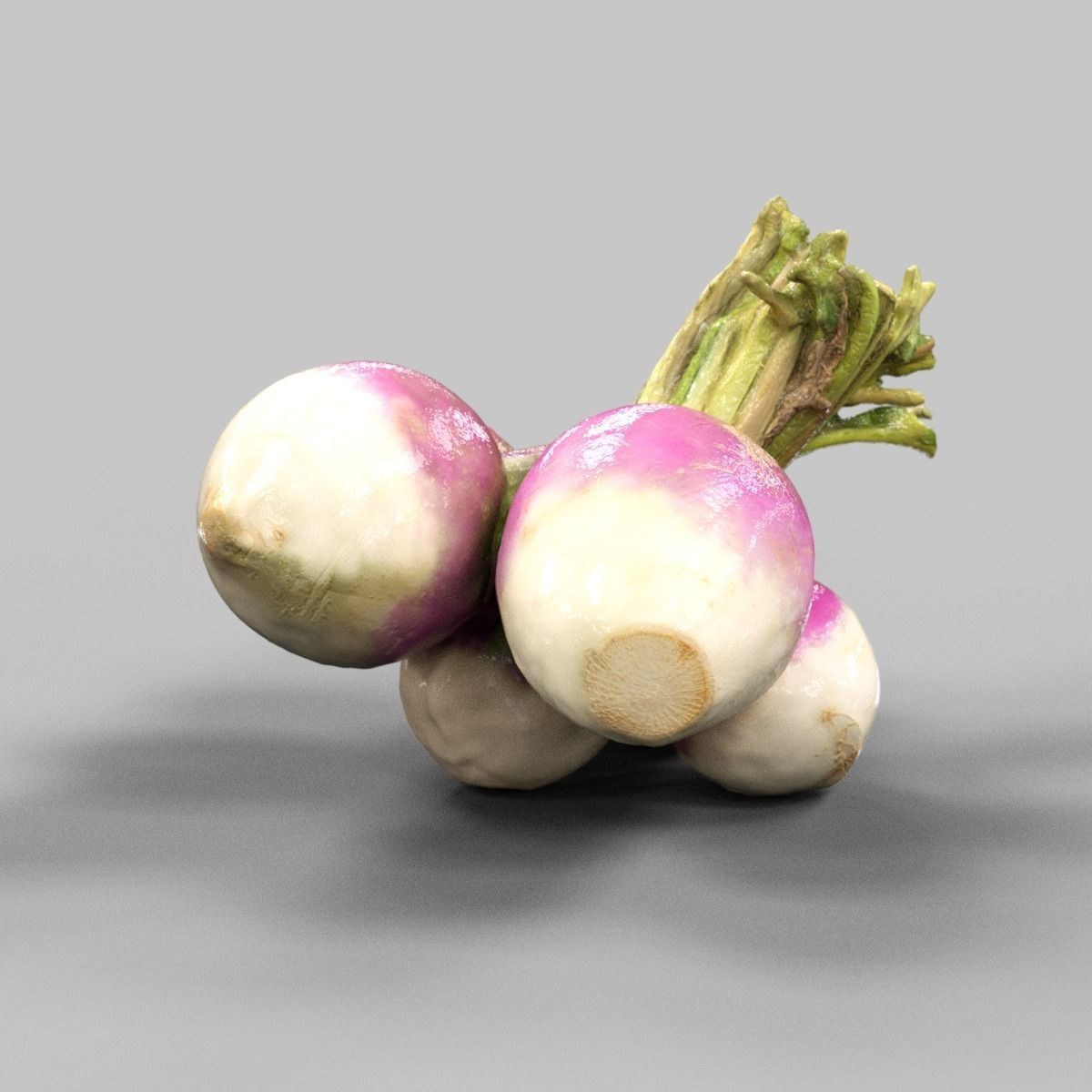 Turnip radishes Low-poly 3D model_2