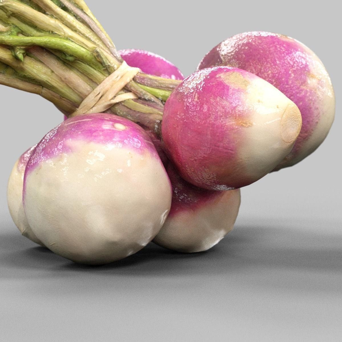 Turnip radishes Low-poly 3D model_4