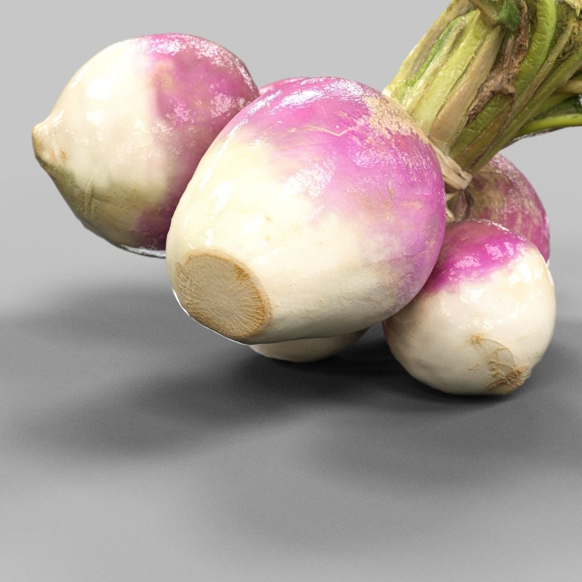 Turnip radishes Low-poly 3D model_3