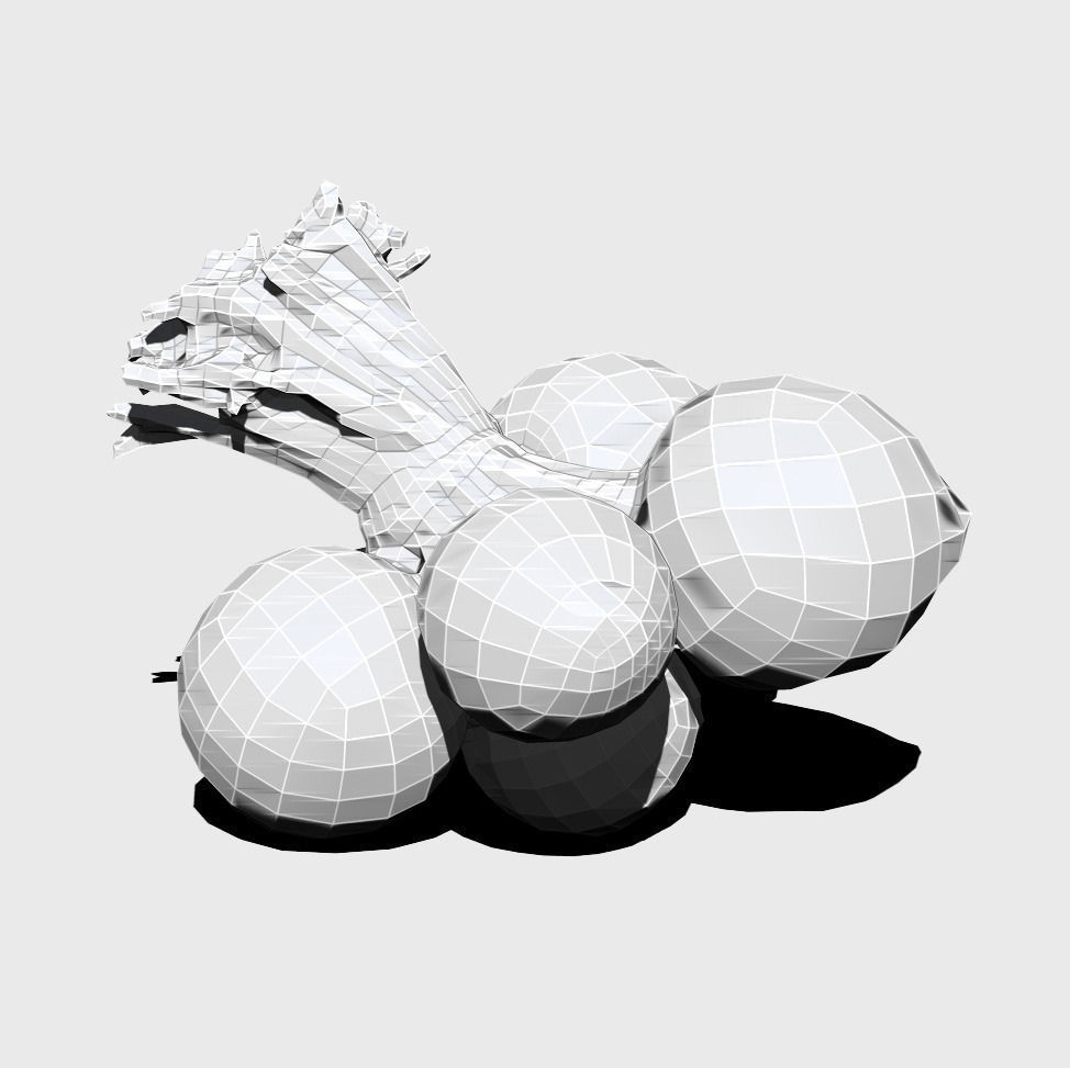 Turnip radishes Low-poly 3D model_5