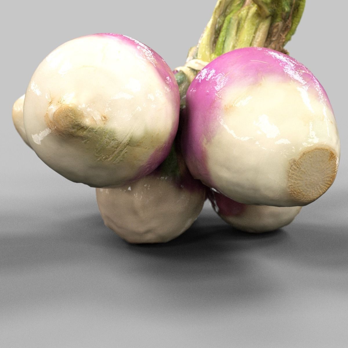 Turnip radishes Low-poly 3D model_1