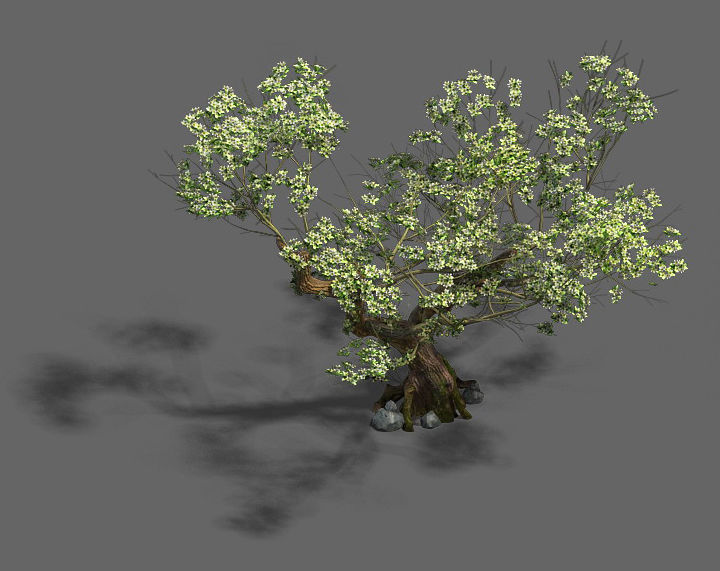 Plant - pear tree 3D model_1