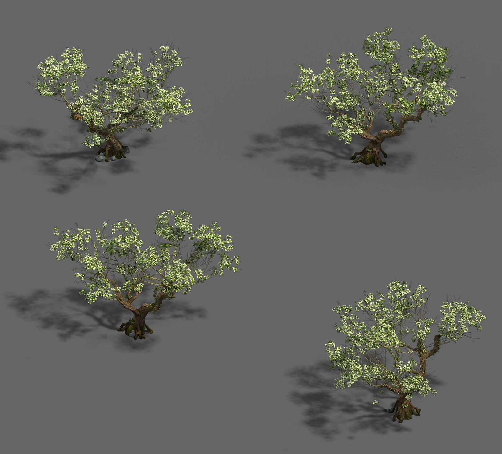 Plant - pear tree 3D model_4