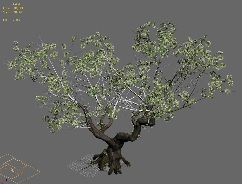Plant - pear tree 3D model_5