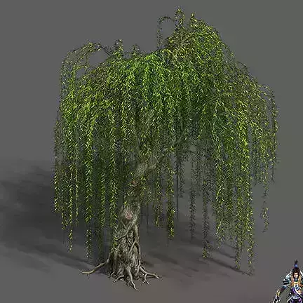 Plant - Willow 12