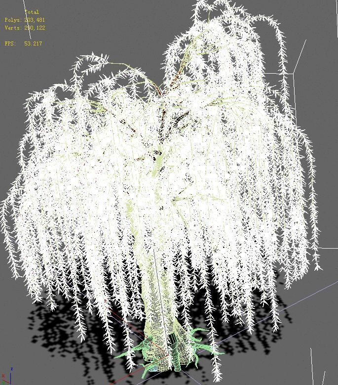 Plant - Willow 13 3D model_5