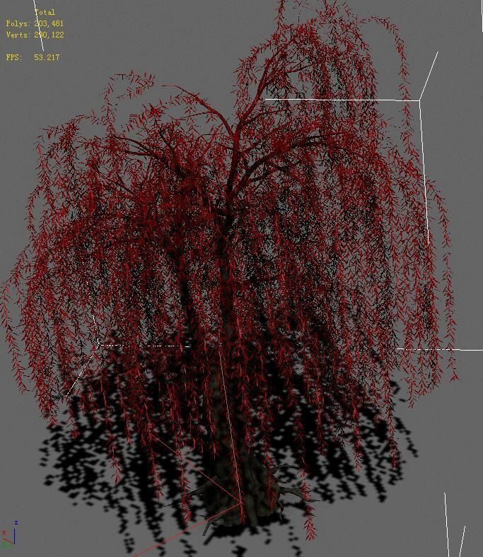 Plant - Willow 13 3D model_4