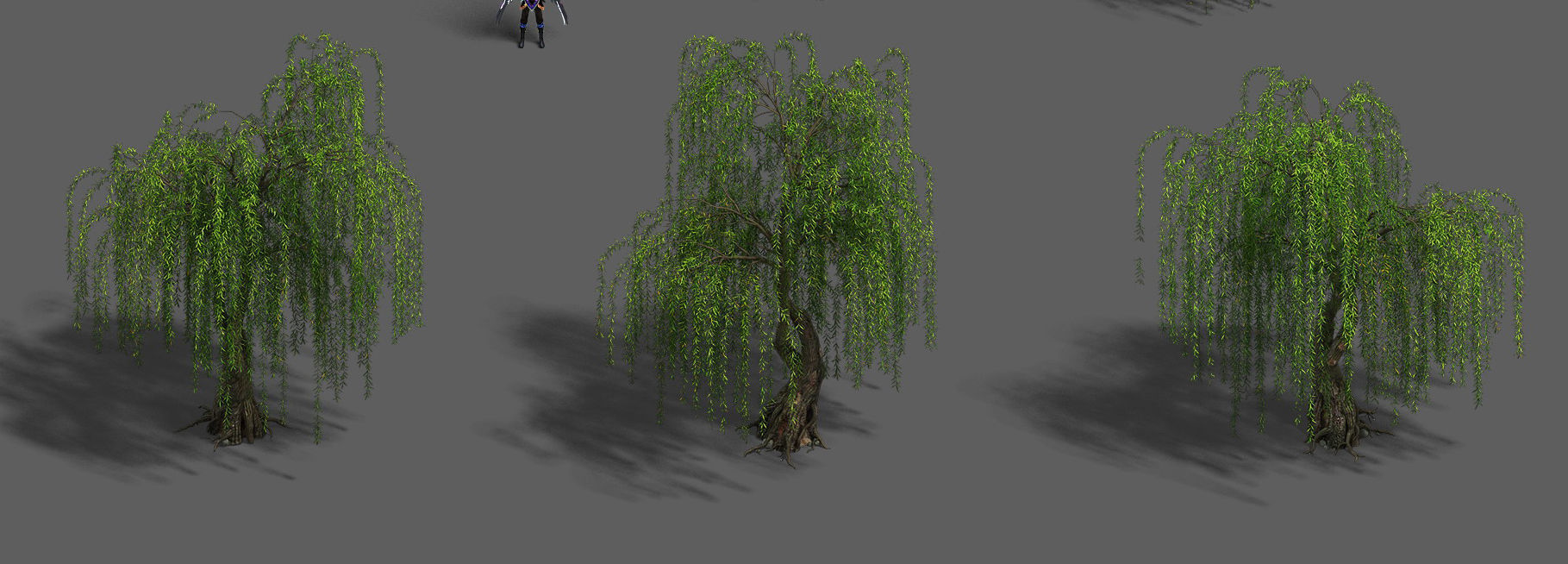 Plant - Willow 13 3D model_3