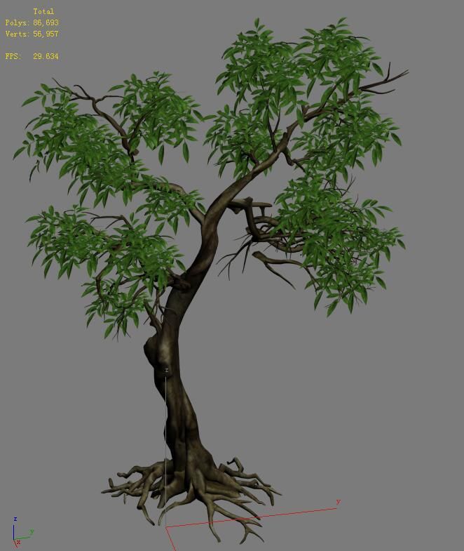 Plant - green tree 1 3D model_4