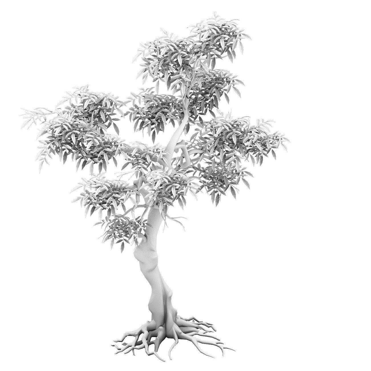 Plant - green tree 1 3D model_2