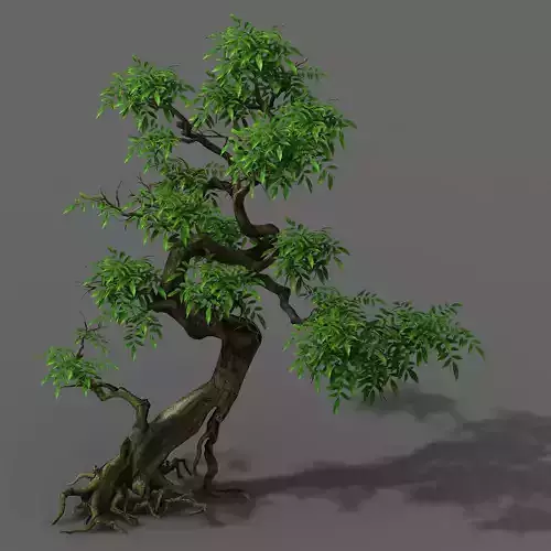 Plant - Green Tree 2