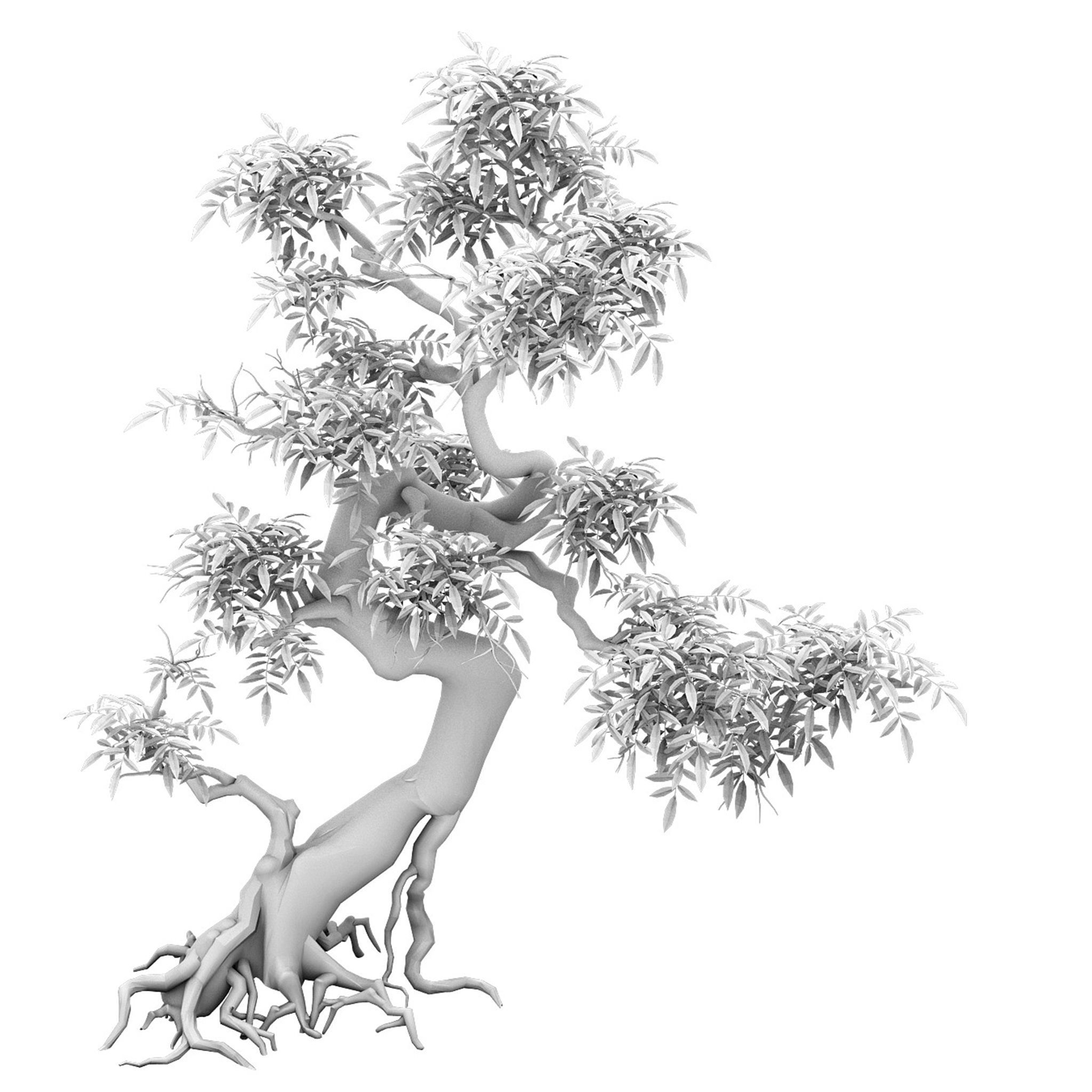 Plant - Green Tree 2 3D model_2