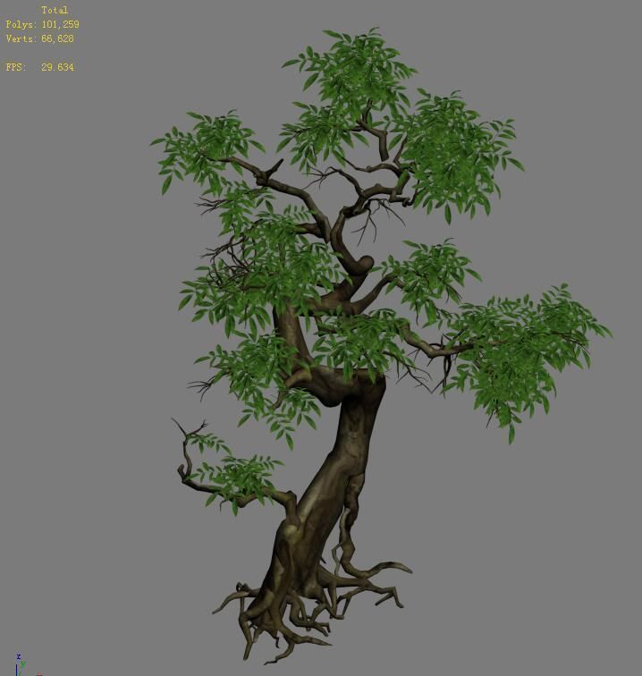Plant - Green Tree 2 3D model_4