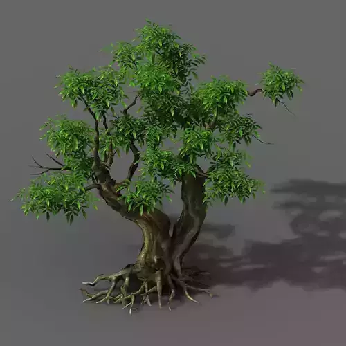 Plant - Green Tree 3