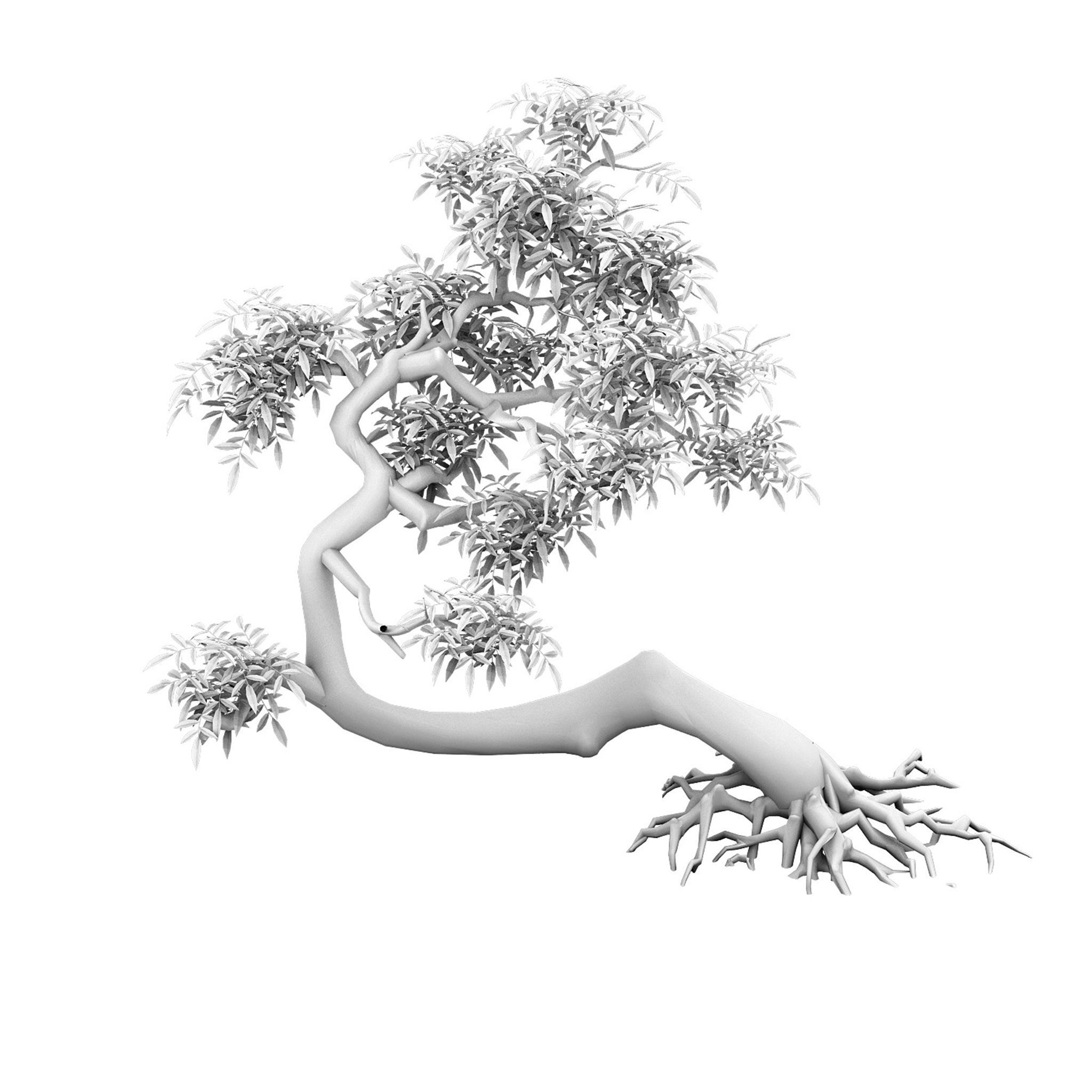 Plant - Green Tree 4 3D model_2