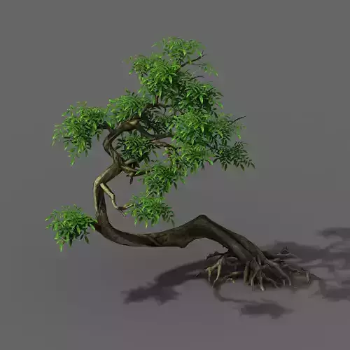 Plant - Green Tree 4