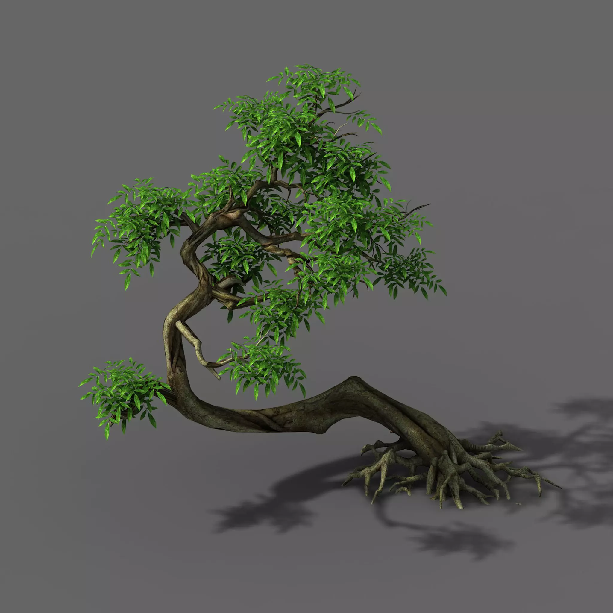 Plant - Green Tree 4 3D model_0