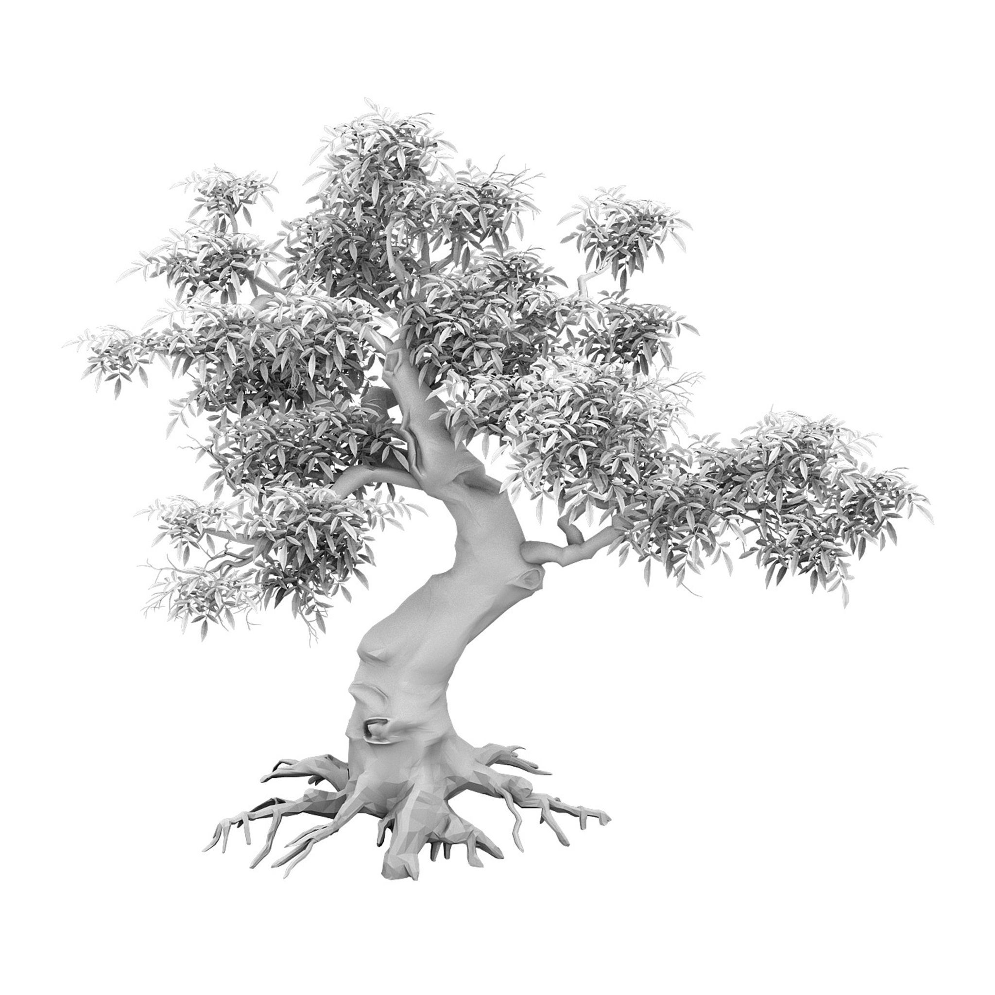 Plant - Green Tree 5 3D model_2