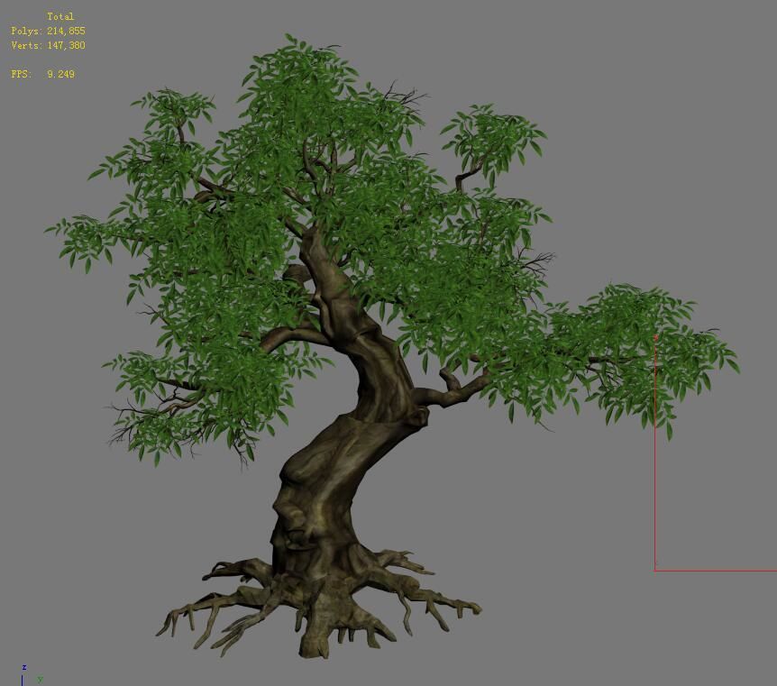 Plant - Green Tree 5 3D model_4