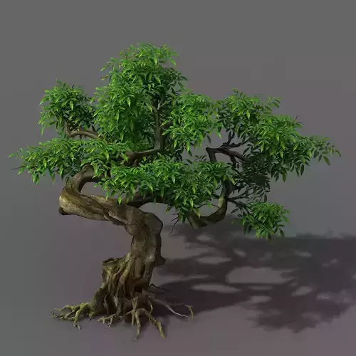 Plant - Green Tree 6