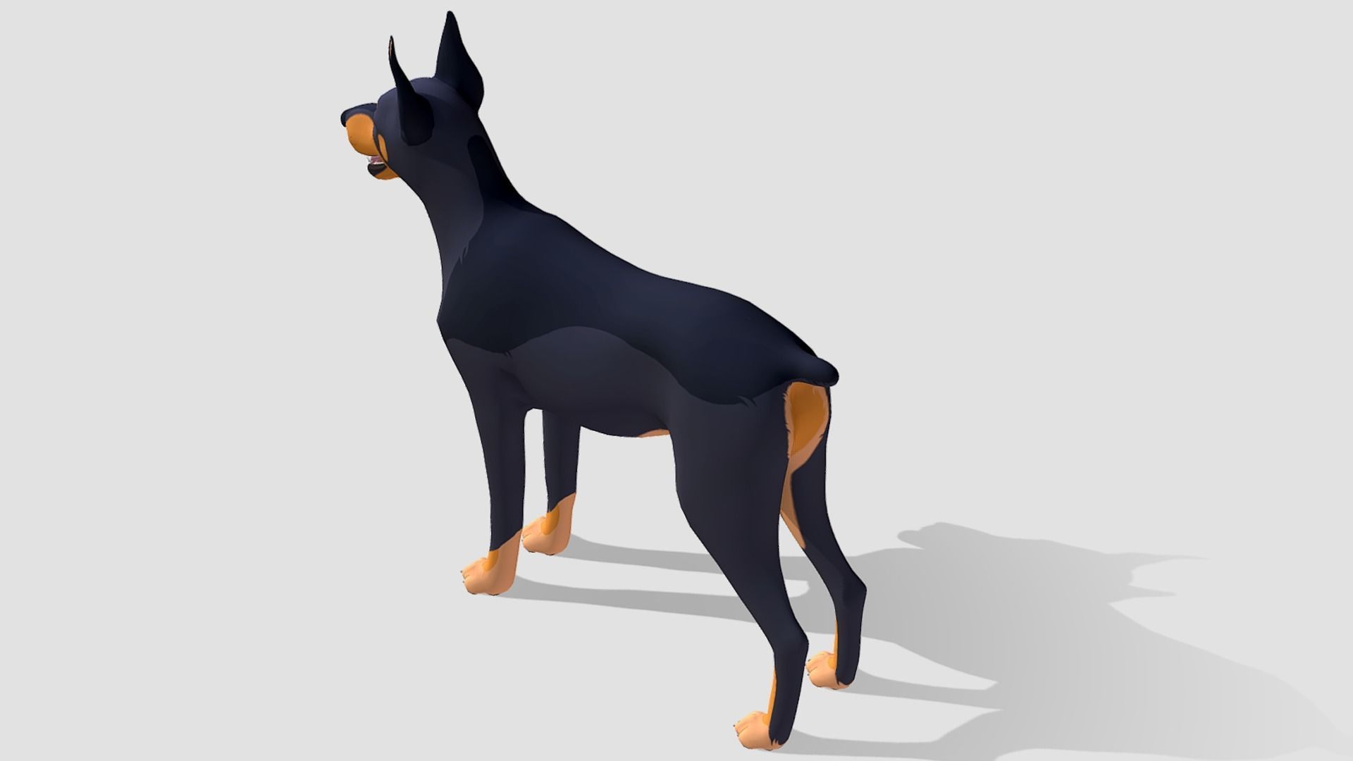 Cartoon Dog  - Doberman Low-poly 3D model_6