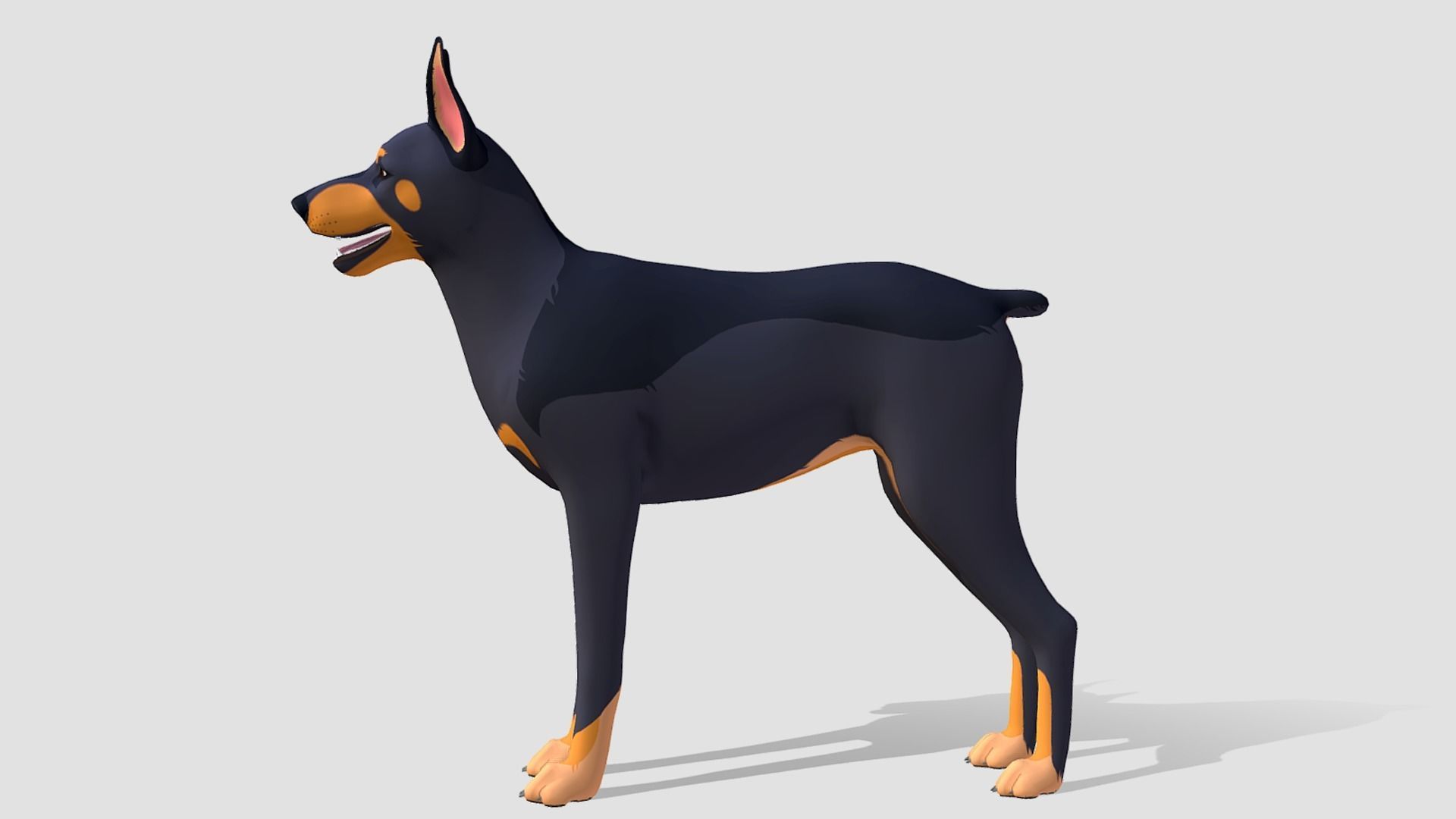 Cartoon Dog  - Doberman Low-poly 3D model_4
