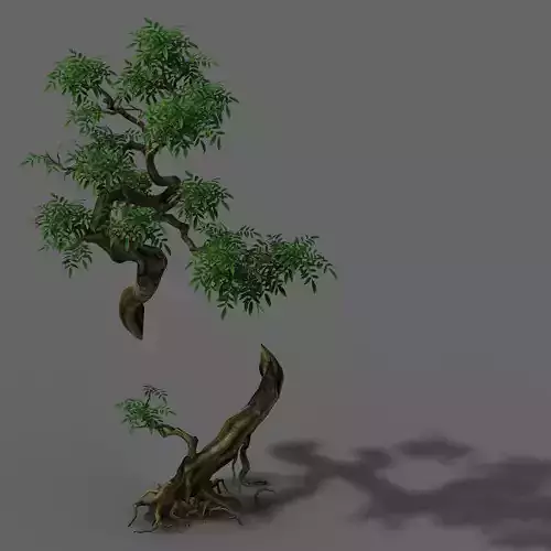 Plant - Green Tree 7