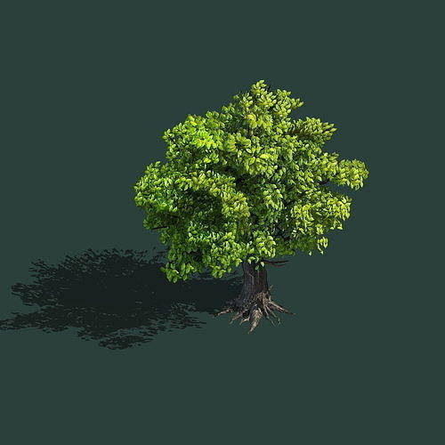 Plant - Green Tree 8 3D model