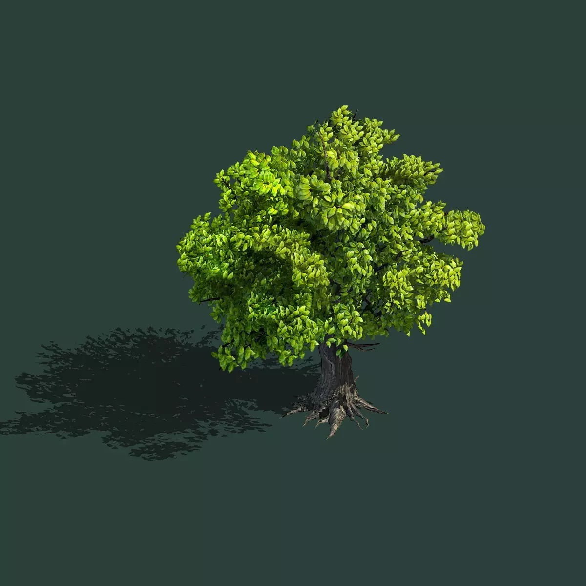 Plant - Green Tree 8 3D model_0