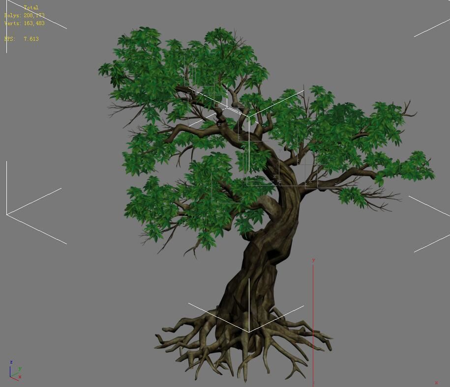 Plant - green leaf tree 01 3D model_4