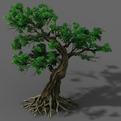 Plant - green leaf tree 01 3D model
