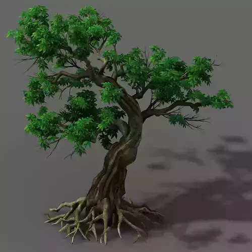 Plant - green leaf tree 01