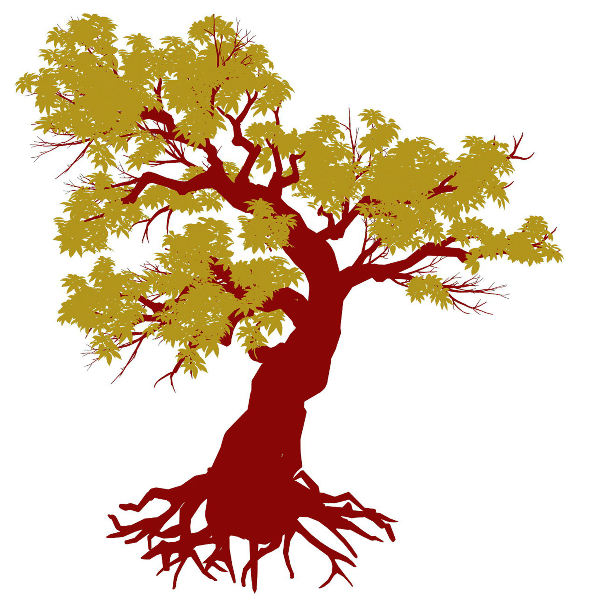 Plant - green leaf tree 01 3D model_3