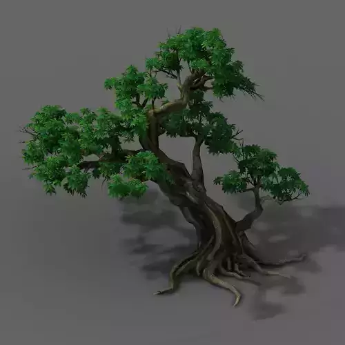 Plant - Green Leaves 02