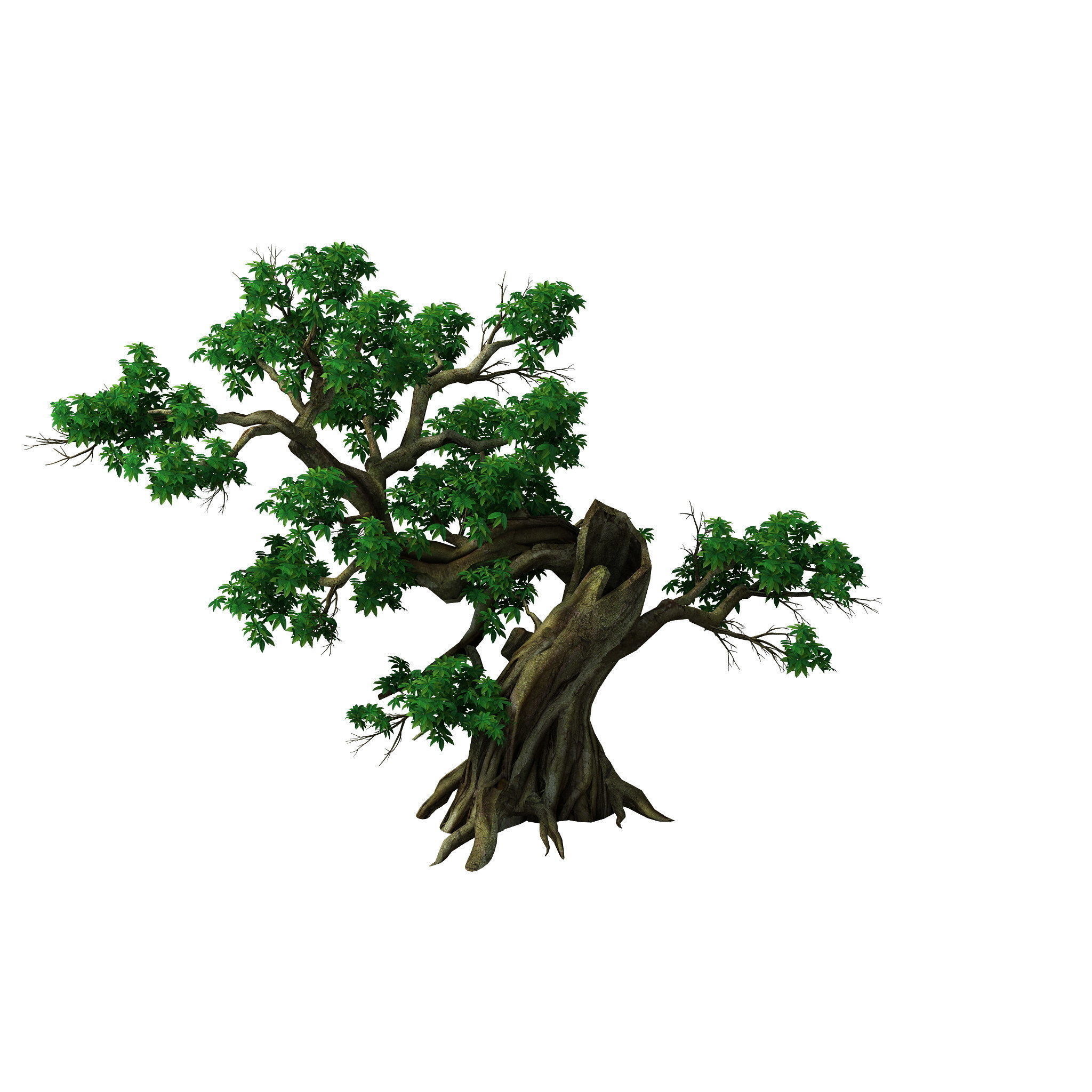 Plant - Green Leaves 04 3D model_1