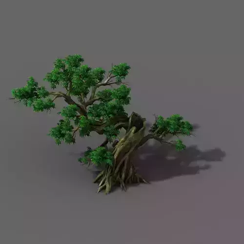 Plant - Green Leaves 04