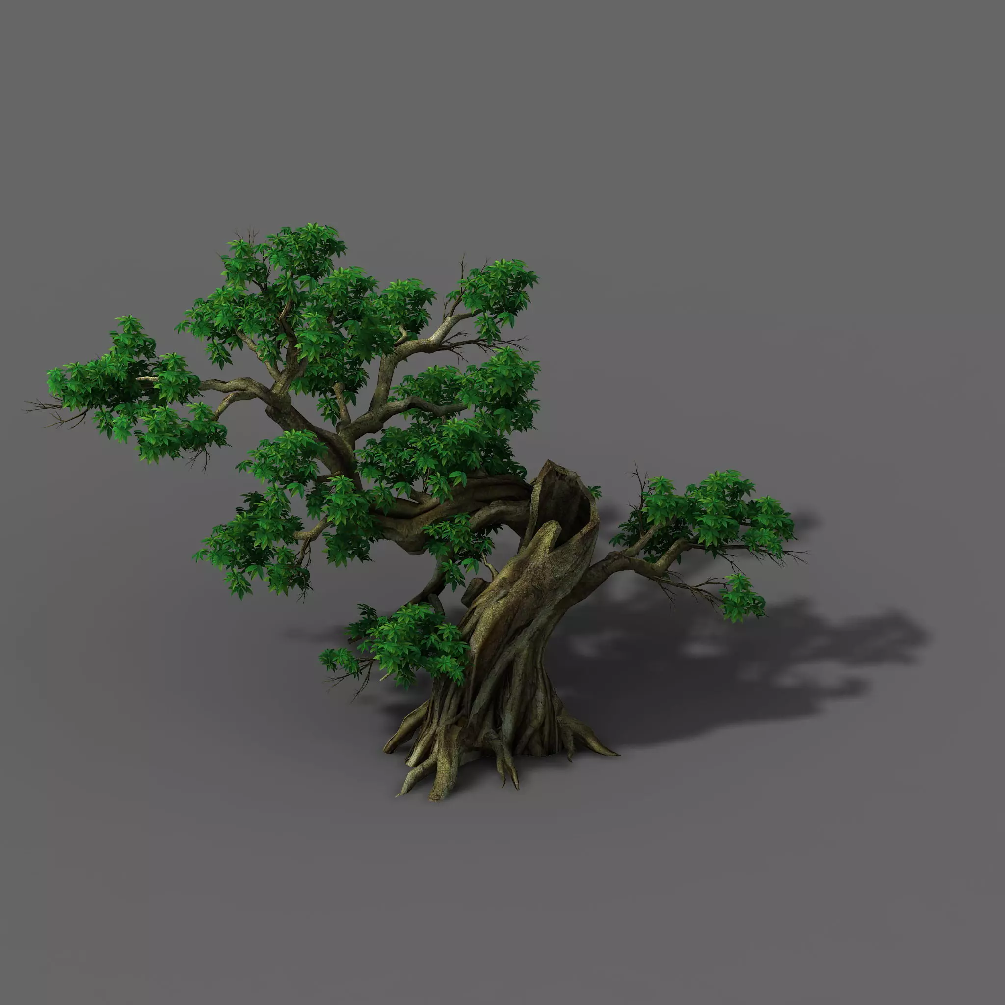 Plant - Green Leaves 04 3D model_0