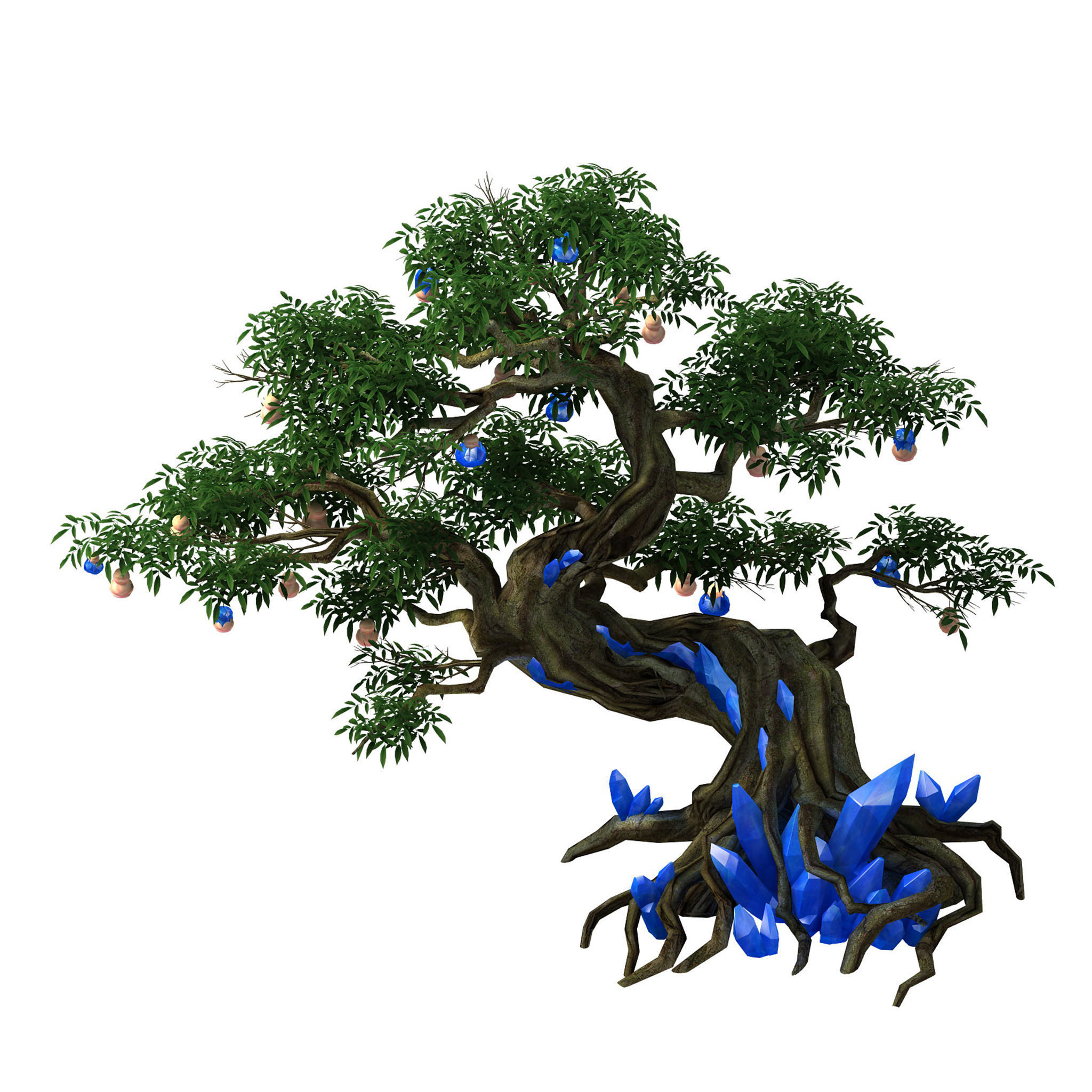 Plant - ginseng fruit tree 3D model_1