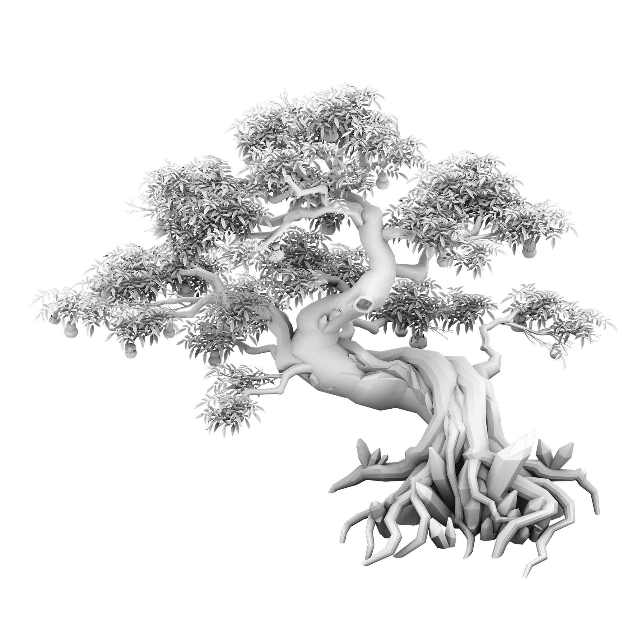 Plant - ginseng fruit tree 3D model_2