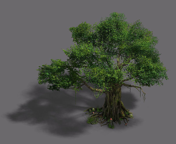 Plant - banyan tree 3D model