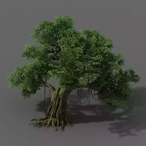 Plant - banyan tree 01 3D model